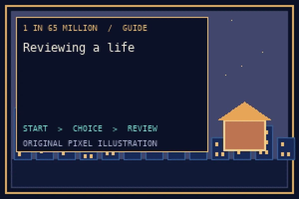 Pixel illustration of reviewing a life in the 1 in 65 million guide