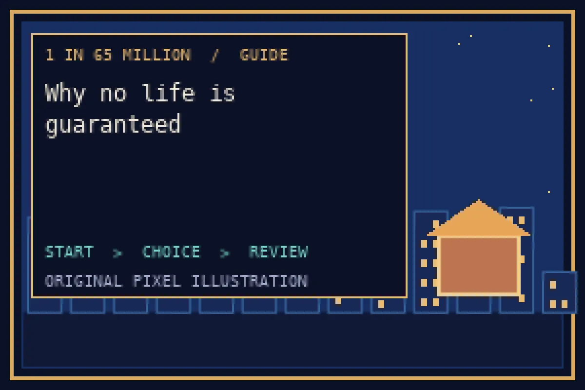 Pixel illustration of why no life is guaranteed in the 1 in 65 million guide