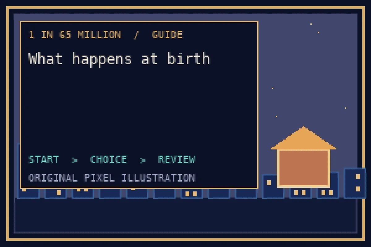 Pixel illustration of what happens at birth in the 1 in 65 million guide